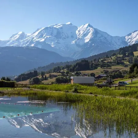 Luxury 2 Bedroom With View Of Mont Blanc Apart-hotel Combloux