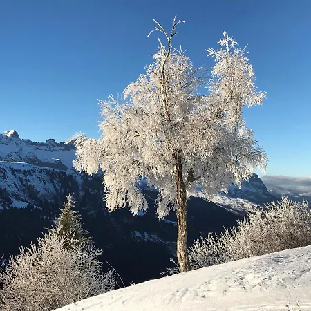 Luxury 2 Bedroom With View Of Mont Blanc Aparthotel